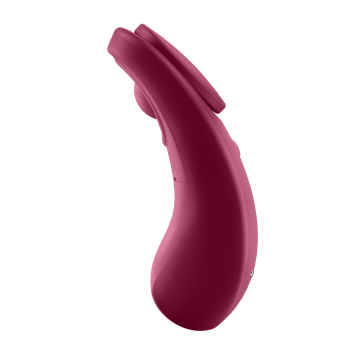 Satisfyer Sexy Secret - Panty Vibrator