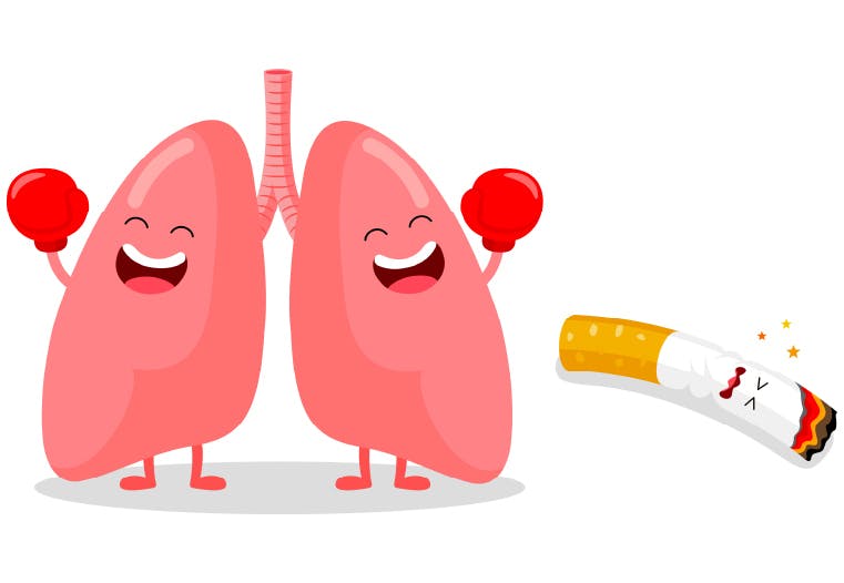 An illustration of happy lungs next to a cigarette that is laying on the ground looking unhappy