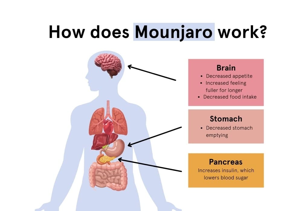 How Does Mounjaro Work For Weight Loss
