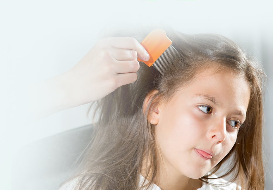 Lice & Scabies Treatment