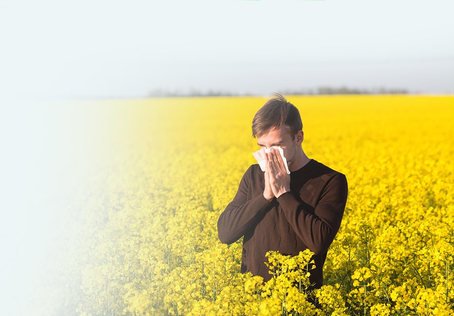 Hay Fever/Allergies Treatment